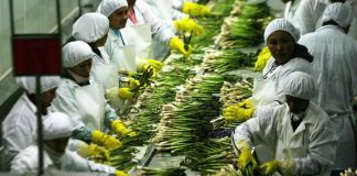 Gobierno evaluará beneficios tributarios de la agroexportación