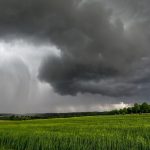 El agro peruano se prepara para afrontar los desafíos de El Niño Costero y sostener su crecimiento exportador