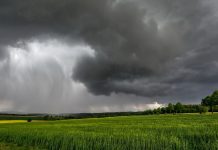 El agro peruano se prepara para afrontar los desafíos de El Niño Costero y sostener su crecimiento exportador