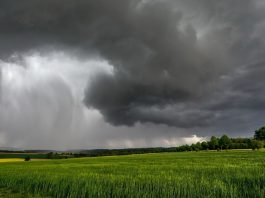 El agro peruano se prepara para afrontar los desafíos de El Niño Costero y sostener su crecimiento exportador