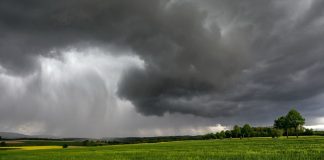 El agro peruano se prepara para afrontar los desafíos de El Niño Costero y sostener su crecimiento exportador