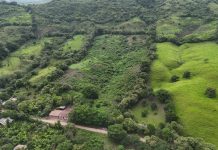 ¿Terreno o departamento? Lo que debes evaluar antes de invertir tu dinero