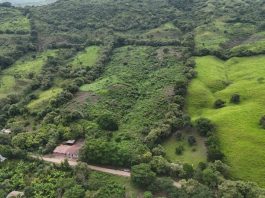 ¿Terreno o departamento? Lo que debes evaluar antes de invertir tu dinero