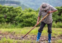Cadenas de suministro: minería, agroindustria, retail y manufactura enfrentan mayores riesgos por tensiones globales