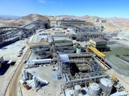 Cerro Verde casi duplica su utilidad y gana US$501,5 millones