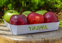 Trupal S.A. proyecta crecer 5% este 2026
