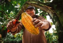 Ayacucho identifica oportunidades de inversión en agroindustria y turismo