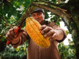 Ayacucho identifica oportunidades de inversión en agroindustria y turismo