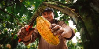 Ayacucho identifica oportunidades de inversión en agroindustria y turismo
