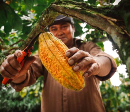 Ayacucho identifica oportunidades de inversión en agroindustria y turismo
