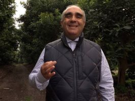 Resiliencia agrícola frente a los temporales: El suelo como defensa
