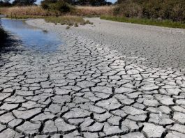 Perú enfrenta riesgo de déficit hídrico para el periodo 2026-2027