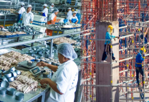 Economía peruana creció 1.75% en junio afectada por caída de sectores primarios