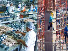 Economía peruana creció 1.75% en junio afectada por caída de sectores primarios