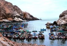 Pesca y acuicultura suman 1,331 habilitaciones sanitarias