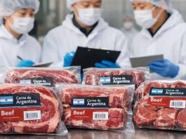 Carne vacuna argentina destinada al mercado internacional
