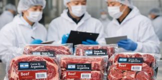Carne vacuna argentina: Japón abre su mercado tras 20 años de negociaciones Carne vacuna argentina destinada al mercado internacional