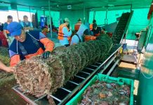 Empleos directos asociados a exportaciones tuvieron un alza de 7.6% a junio