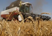 Agro argentino liquida US$2.750 millones en agosto y acumula caída de 12%