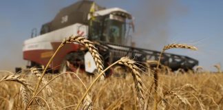 Agro argentino liquida US$2.750 millones en agosto y acumula caída de 12%