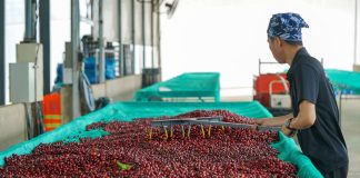 Doce departamentos concentran el 73.7% de la producción del país: CADE Ejecutivos 2026 pone el foco en las brechas regionales