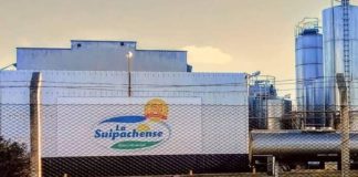 Argentina: La Suipachense vuelve a producir tras la quiebra y busca exportar a Uruguay