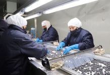 ADEX busca diversificar oferta de frutas peruanas en el exterior