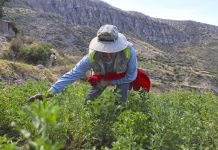 Conveagro pide revisar beneficios tributarios del agro