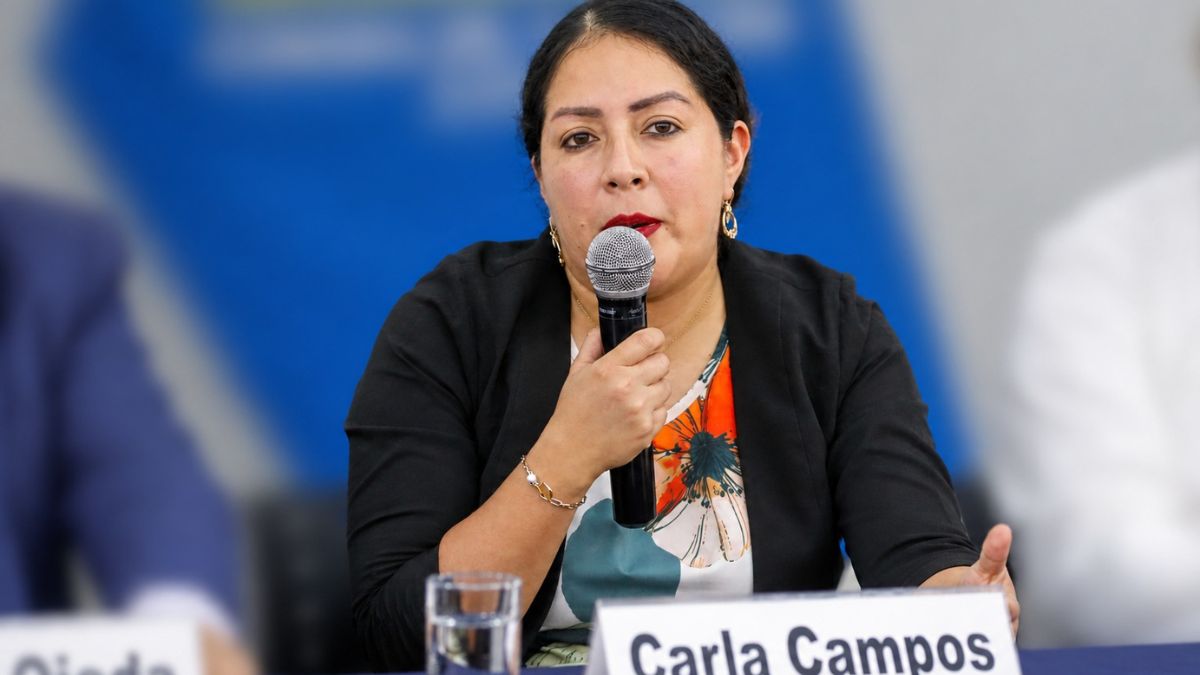 Unas 6000 bodegas en Perú cerrarán durante 2026 debido a la criminalidad y el FEN Unas 6000 bodegas en Perú cerrarán durante 2026 debido a la criminalidad y el FEN