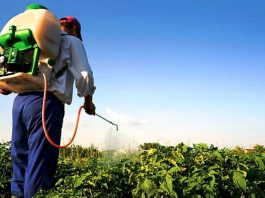 Plaguicidas agrícolas sujetos a suspensión temporal por disposición del SENASA.