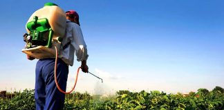 Plaguicidas agrícolas: Senasa suspende venta y uso de cinco sustancias para alimentos de consumo interno Plaguicidas agrícolas sujetos a suspensión temporal por disposición del SENASA.