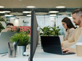4 acciones que las instituciones de gobierno y los empleados públicos pueden realizar para facilitar la implementación de la IA en el Estado