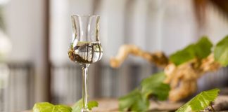Pisco peruano busca ganar espacio en el mercado húngaro