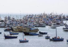 Perú refuerza control sobre flotas pesqueras extranjeras