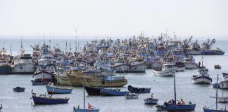 Perú refuerza control sobre flotas pesqueras extranjeras