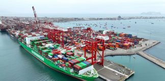 Agroexportaciones peruanas rozan los US$7.000 millones, pero crecen solo 2,5% hasta julio