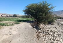 ANA culmina recopilación de información técnica de más de 20 puntos críticos en Caravelí