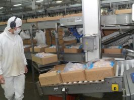 Japón levanta suspensión a productos avícolas de Argentina