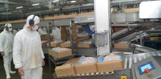 Japón levanta suspensión a productos avícolas de Argentina
