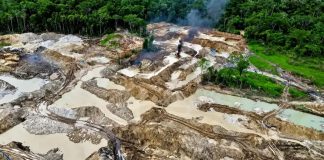 Perú ocupa el puesto 87 en el Índice de Desempeño Ambiental 2026 Desempeño Ambiental 2026