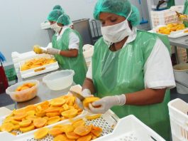 Del total de empresas exportadoras a agosto, el 88.5% fueron mypes empresas