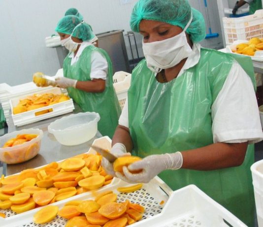 Del total de empresas exportadoras a agosto, el 88.5% fueron mypes empresas