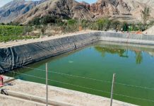 Arequipa: invierten más de S/ 4,2 millones en riego tecnificado para cultivos de vid Sistema de riego tecnificado para cultivos de vid en Mascapampa