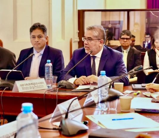 Produce impulsará 17 proyectos de ley para fortalecer la pesca y la industria