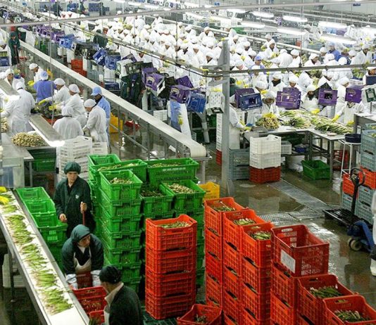 Agroexportaciones peruanas sumaron US$ 8.334 millones hasta agosto de 2026 Agroexportaciones peruanas