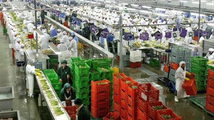 WEB - MEDIOS (10) Agroexportaciones peruanas