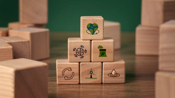 WEB - MEDIOS (10)