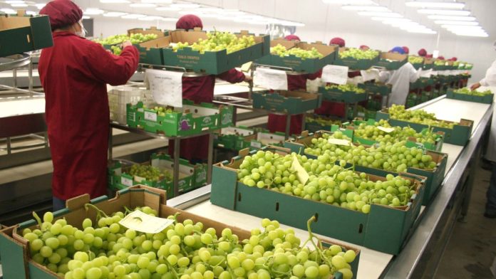 WEB - MEDIOS (11) Agroexportaciones peruanas a julio de 2026