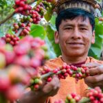 MIDAGRI forma a técnicos de 20 regiones para facilitar el acceso de organizaciones agrarias al mercado Revista Economía