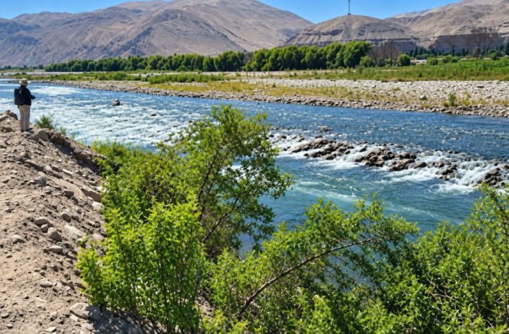 Fenómeno El Niño y riesgo hídrico en 42 distritos de Arequipa.